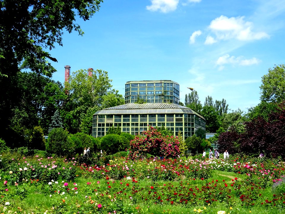 RO Bucharest Botanical Garden new greenhouse 01