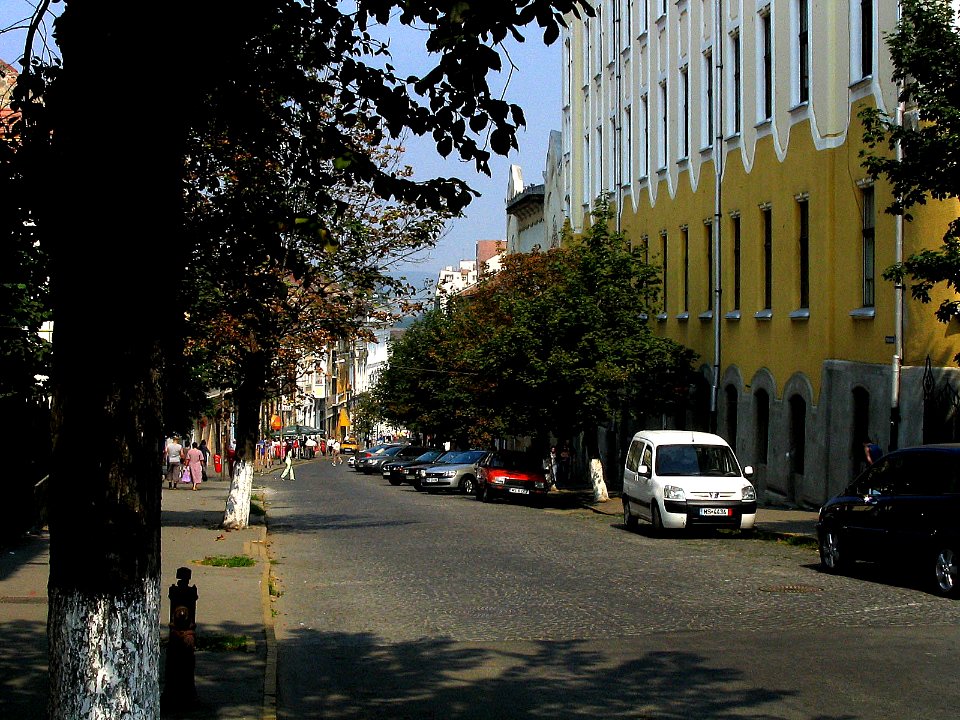 RO MS Str Bolyai (3)