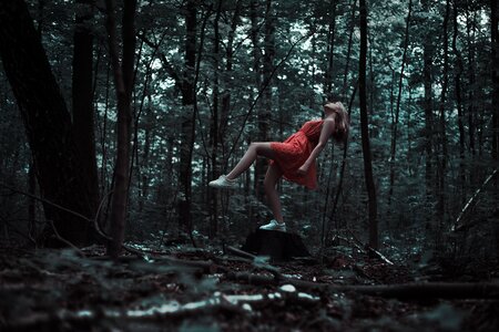 Forest magic outdoors