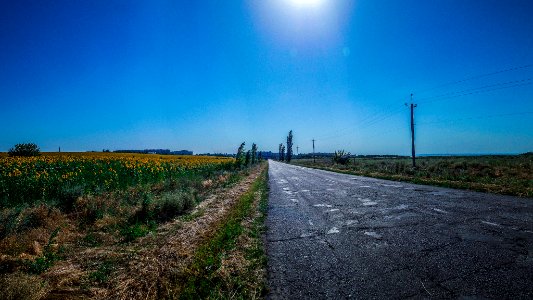 Road To Dneprorudny City (163780197)