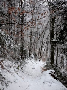RO BV Tampa trail winter