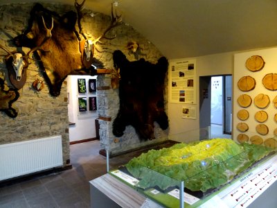 RO PH Sinaia, Stirbei interior 2