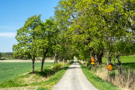 Road to Attu Manor