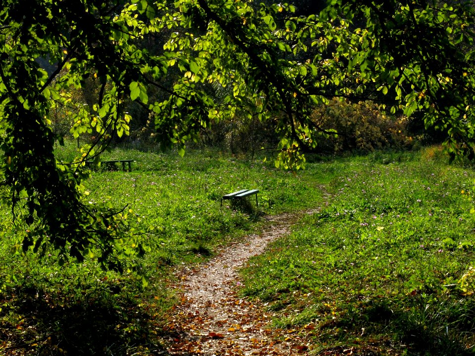 RO Bucharest Botanical Garden 014