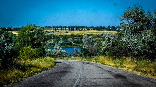 Road To The Lake (163780199)