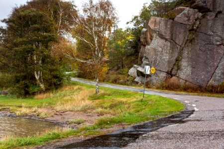 Road to Sandvik shore in rain 3