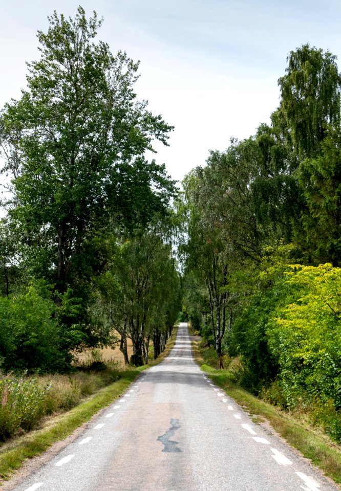 Road through Immestad-Backa petroglyph area
