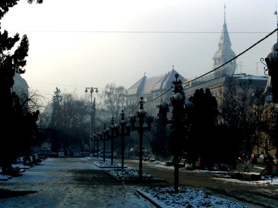 RO MS PtaTrandafirilor 4