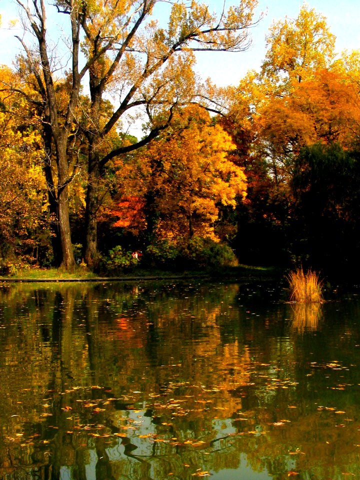 RO Bucharest Botanical Garden 005