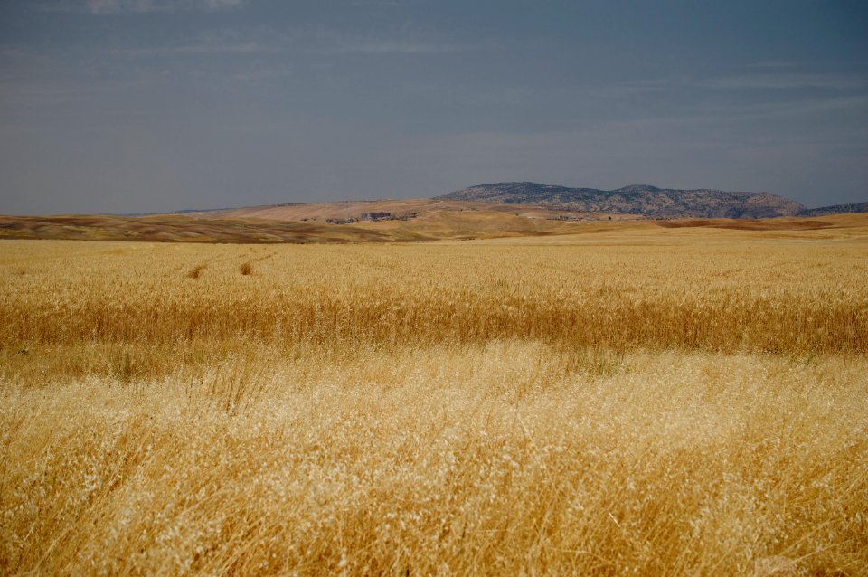 Road near Jerwan archaeological site, part of Neo-Assyrian king Sennacherib's canal system 03