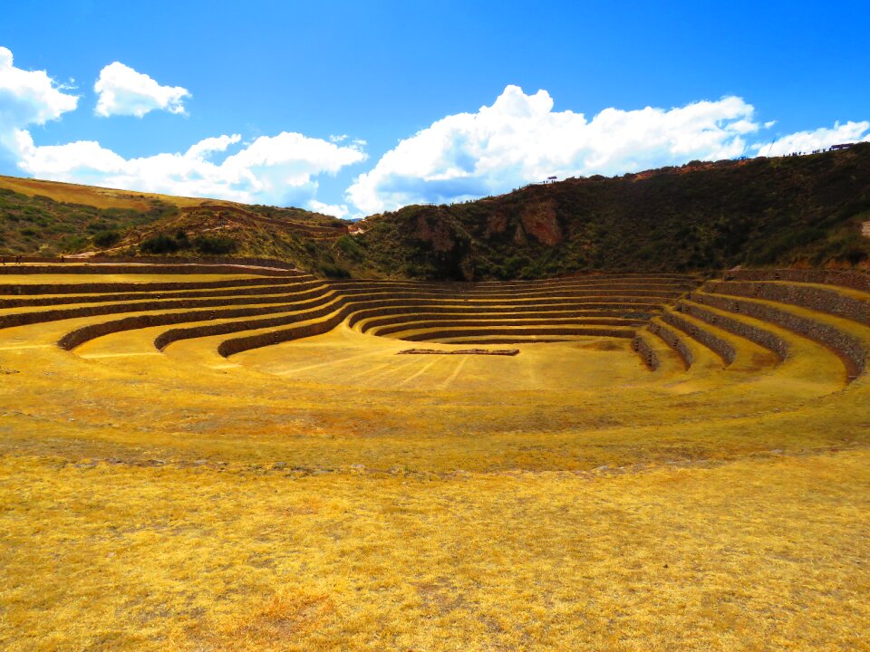 Agriculture terraces peru