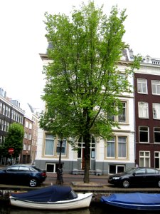RN Ulmus Plantijn (amsterdam)