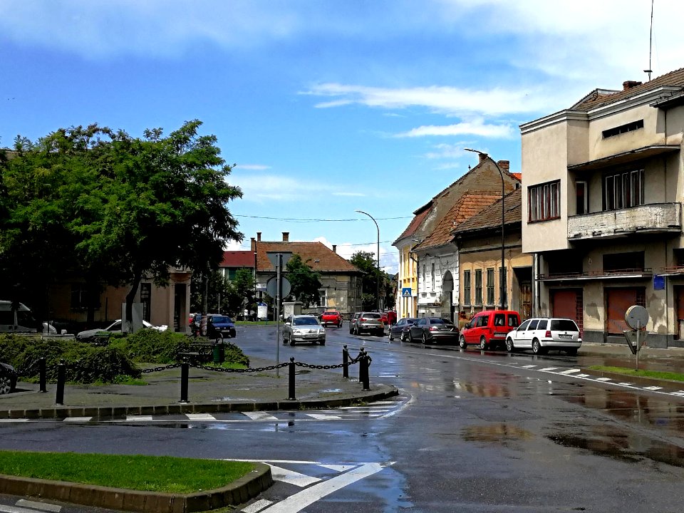 RO MS Str. Calarasilor (2)