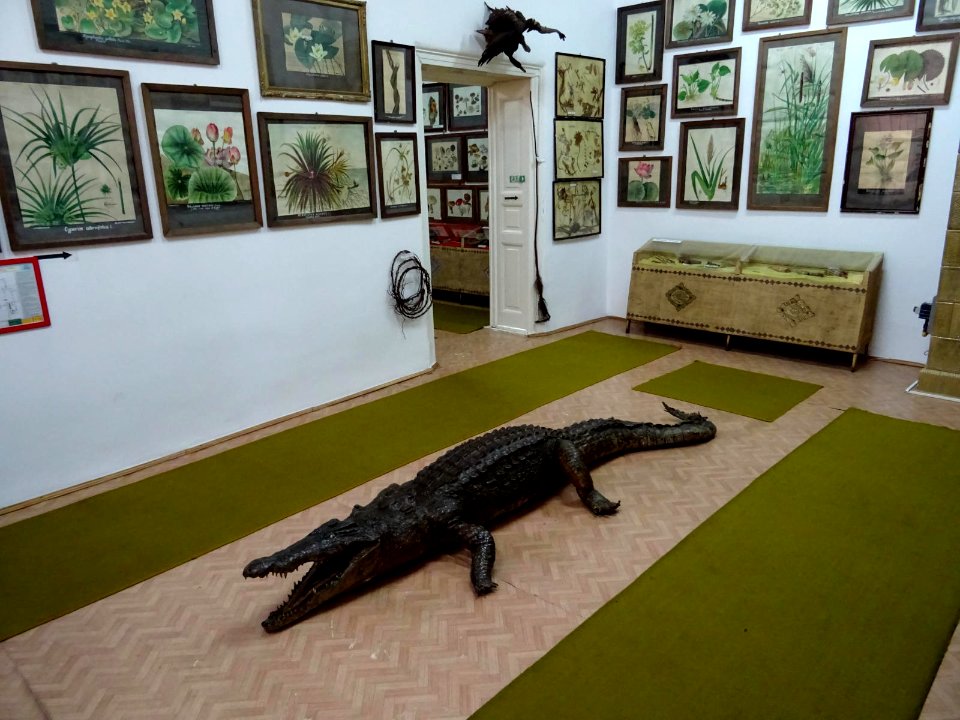 RO Bucharest Botanical Garden museum 07