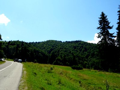 RO Fetifoiu 2