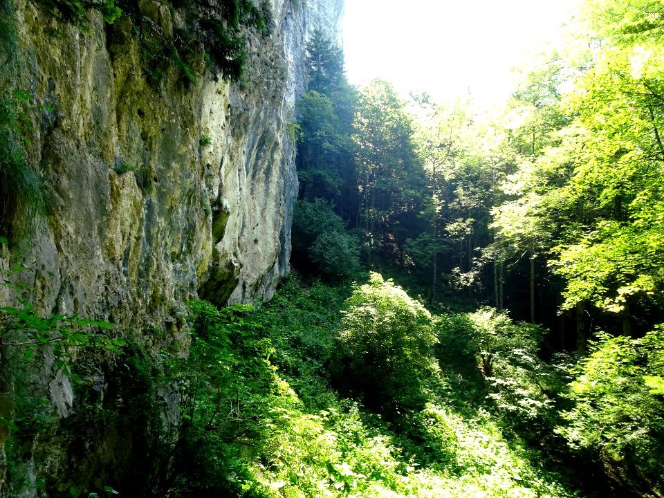 RO Prapastia Ursului rock 2
