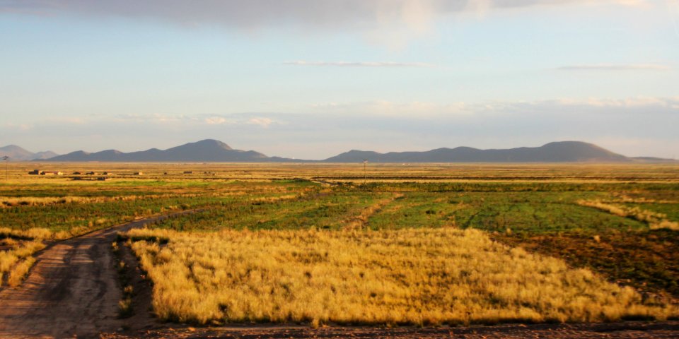RN4 Bolivia Altiplano 03 2019 Cahuasi-Caracollo 2