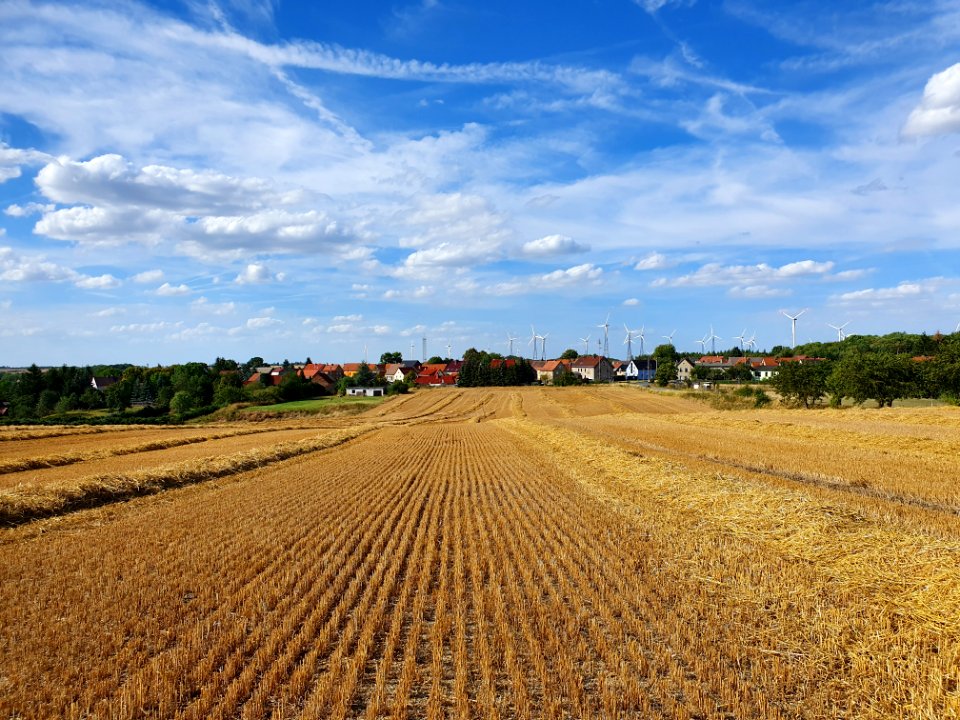 Rockau, Schkölen 21