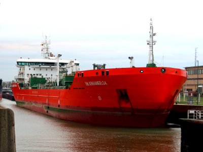 RN Arkhangelsk (ship, 2008), IMO 9384435, Port of Antwerp pic1