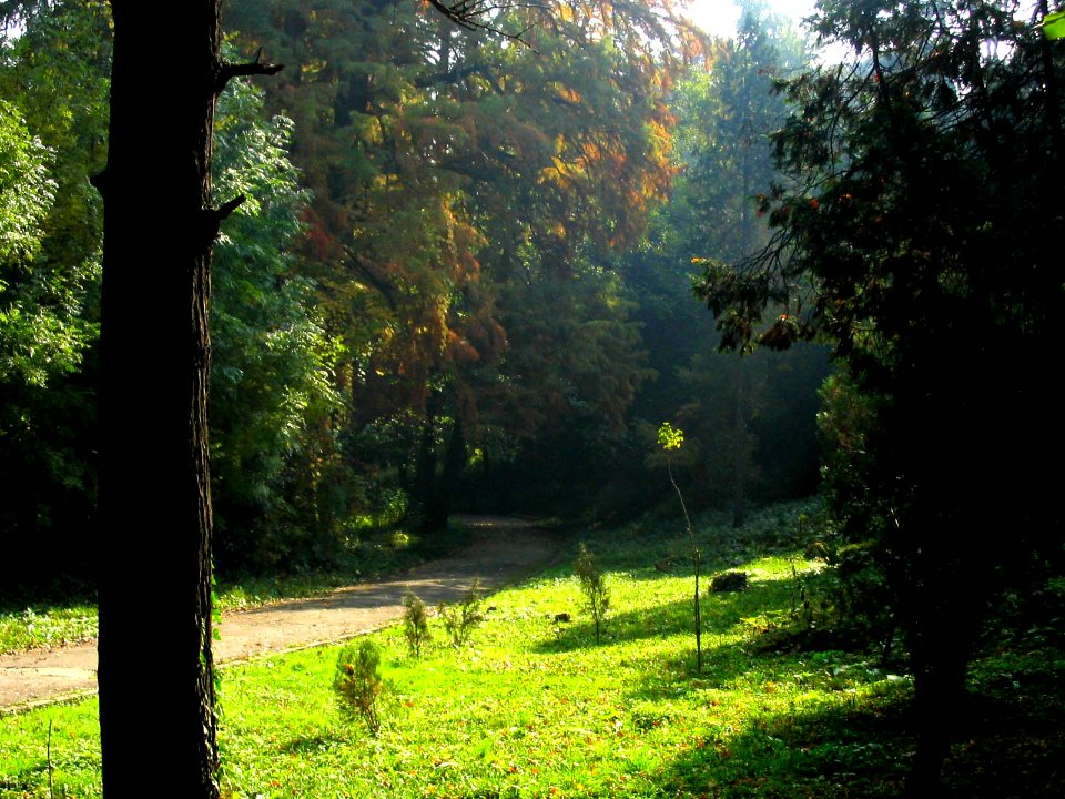 RO Bucharest Botanical Garden 003