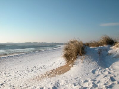 Beach sun germany photo