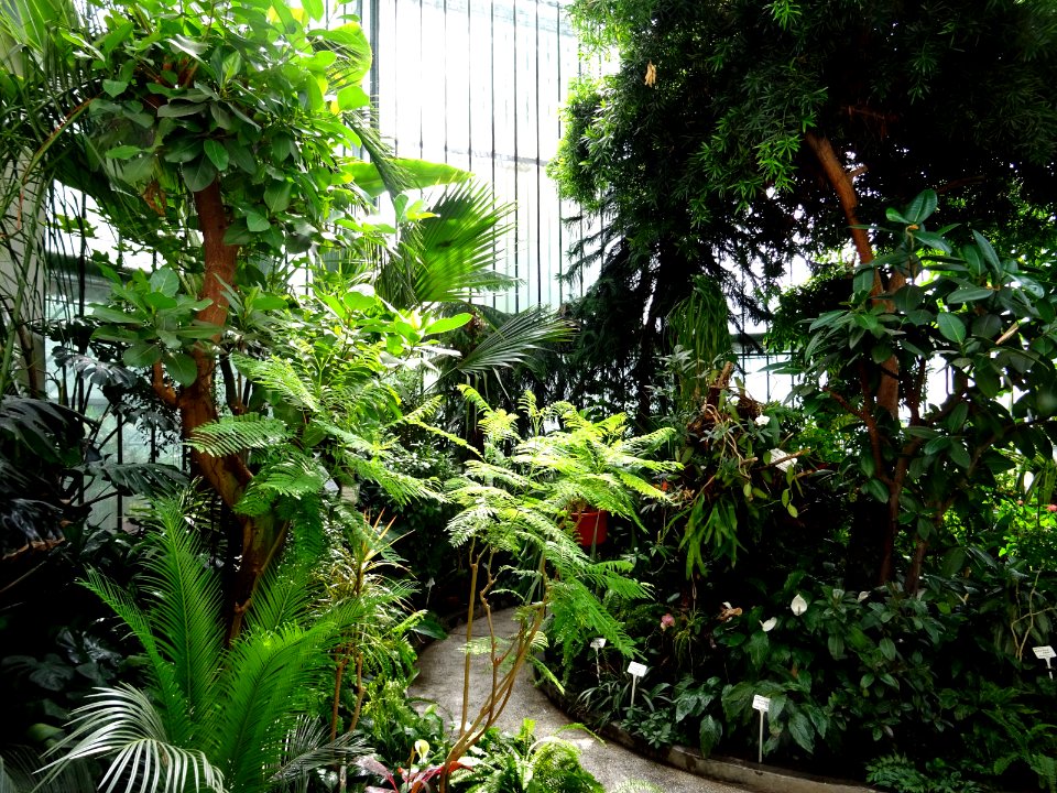 RO Bucharest Botanical Garden old greenhouse 03