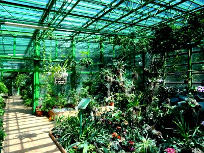 RO Bucharest Botanical Garden new greenhouse 02