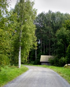 Road and hut in Kyttälä Kokemäki Finland
