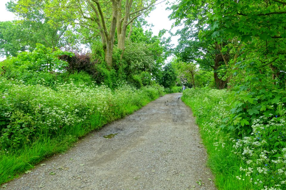 Road to the River Ouse - Monk's House - Rodmell, East Sussex, England - DSC05327