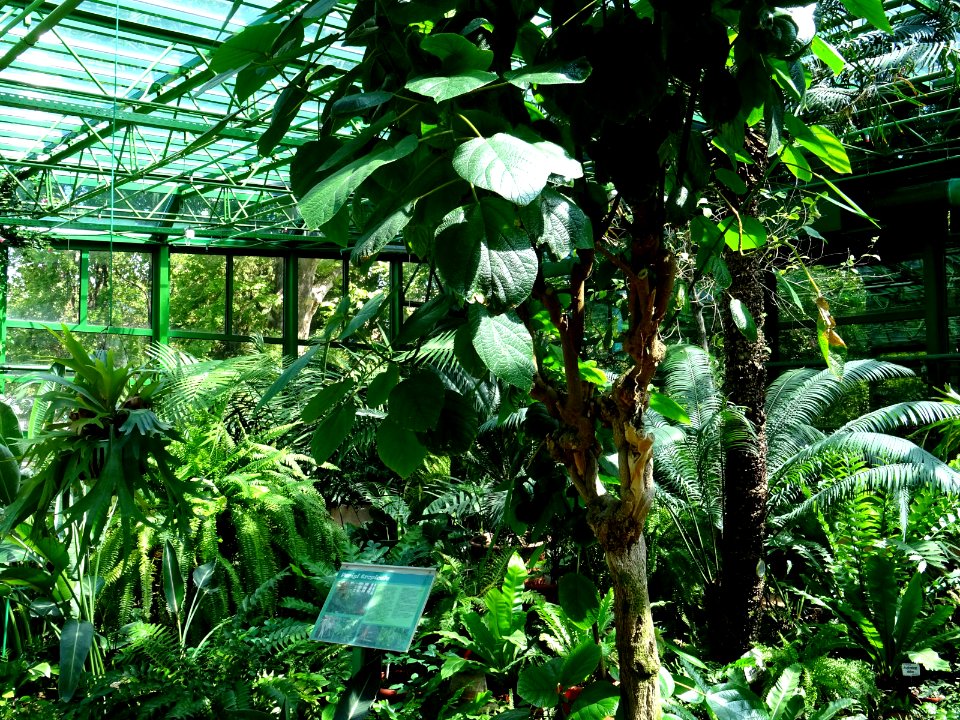 RO Bucharest Botanical Garden new greenhouse 03