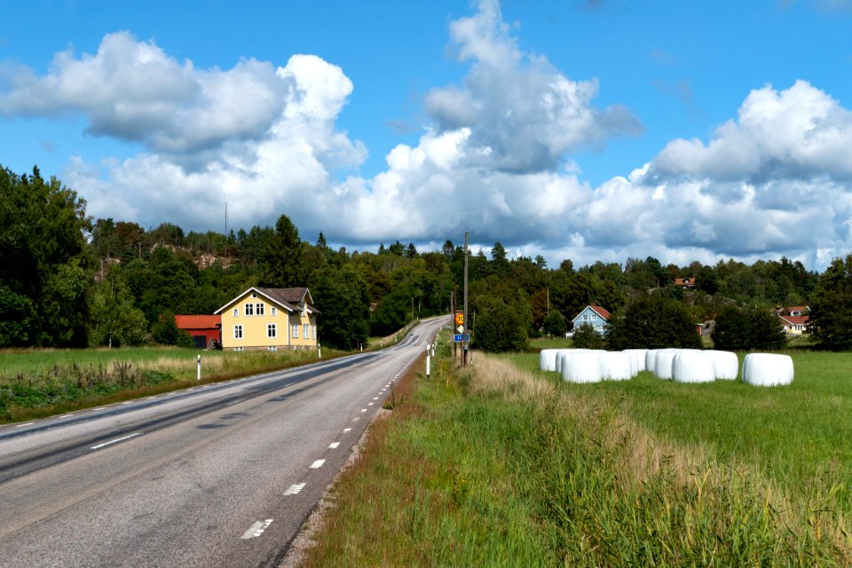 Road 162 through Häggvall