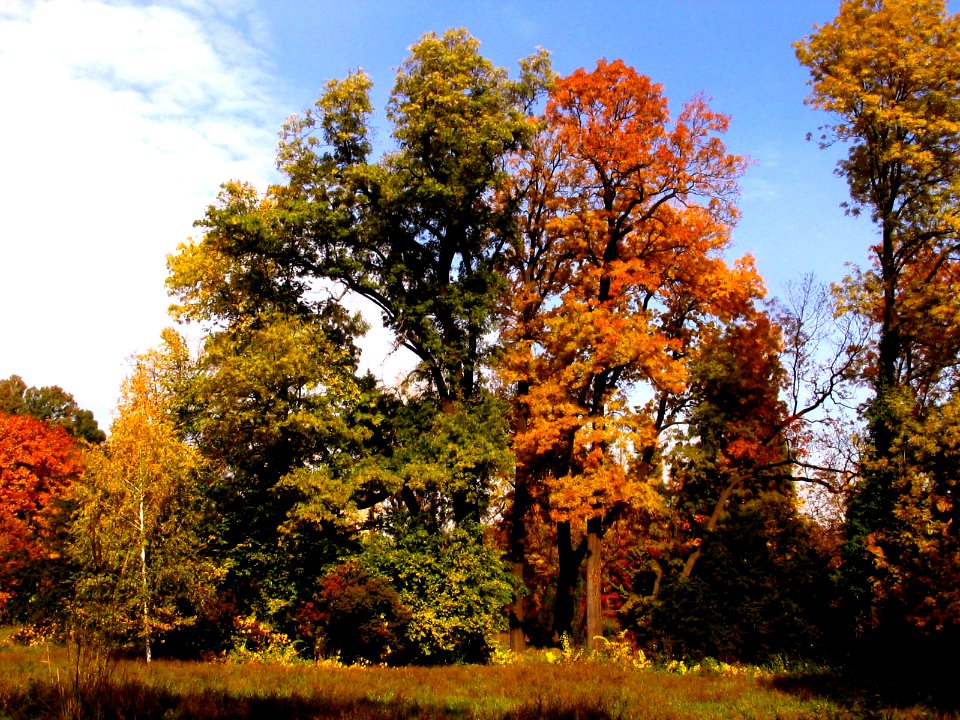 RO Bucharest Botanical Garden 001