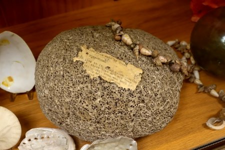 Rock made by ocean tube worms - Mount Angel Abbey Museum - Mount Angel Abbey - Mount Angel, Oregon - DSC09969
