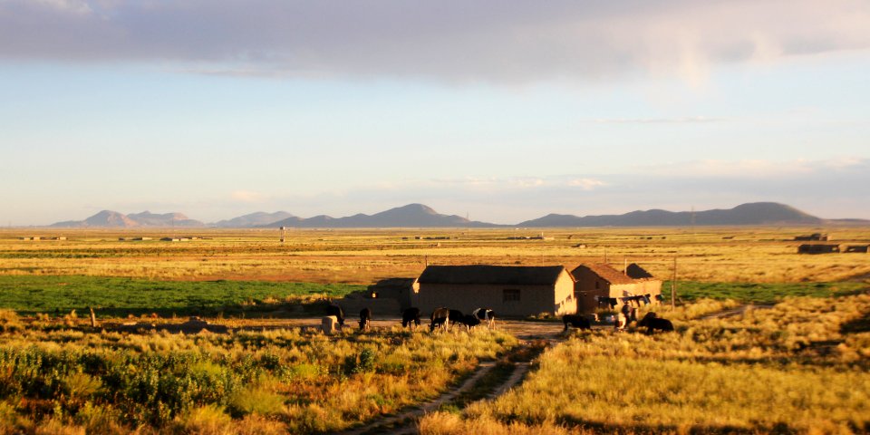 RN4 Bolivia Altiplano 03 2019 Cahuasi-Caracollo