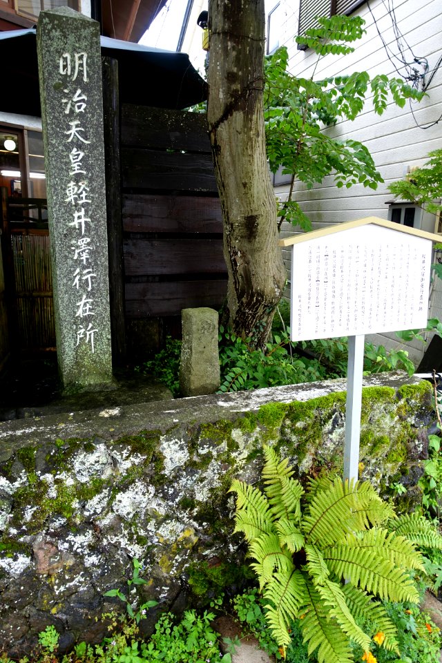 Road marker - Karuizawa, Japan - DSC01899