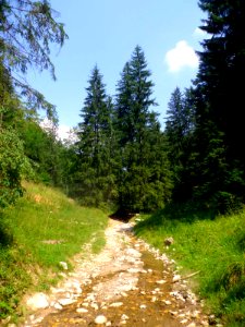 RO BV Valea Poienii river 2