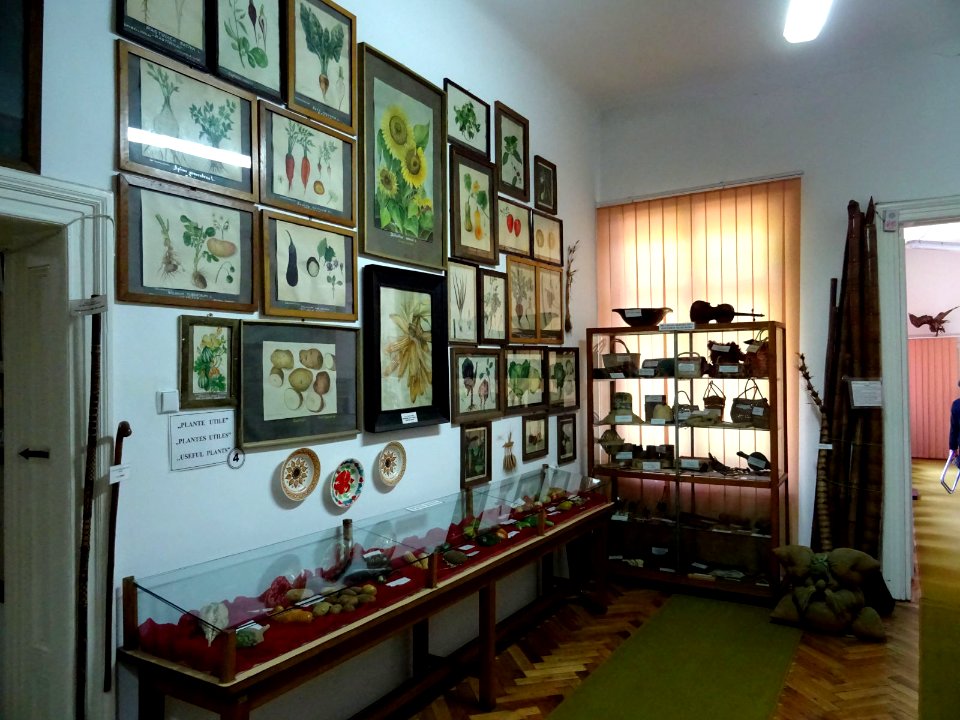 RO Bucharest Botanical Garden museum 04