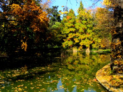 RO Bucharest Botanical Garden 009