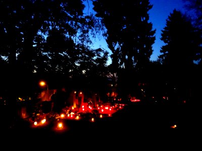 RO MS TgMures Catholic cemetery (6)
