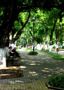 RO MS Bd Cetatii summer