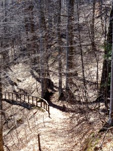 RO PH Franz J path 1