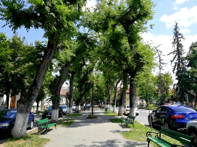 RO MS Bd Cetatii 3