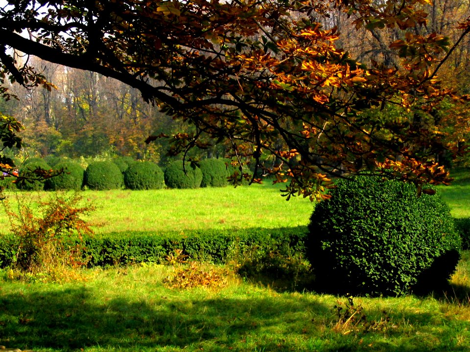 RO Bucharest Botanical Garden 008