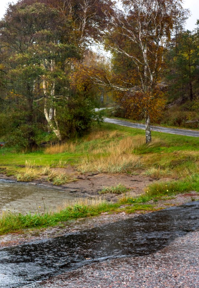Road to Sandvik shore in rain 1