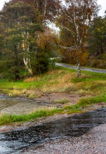 Road to Sandvik shore in rain 1