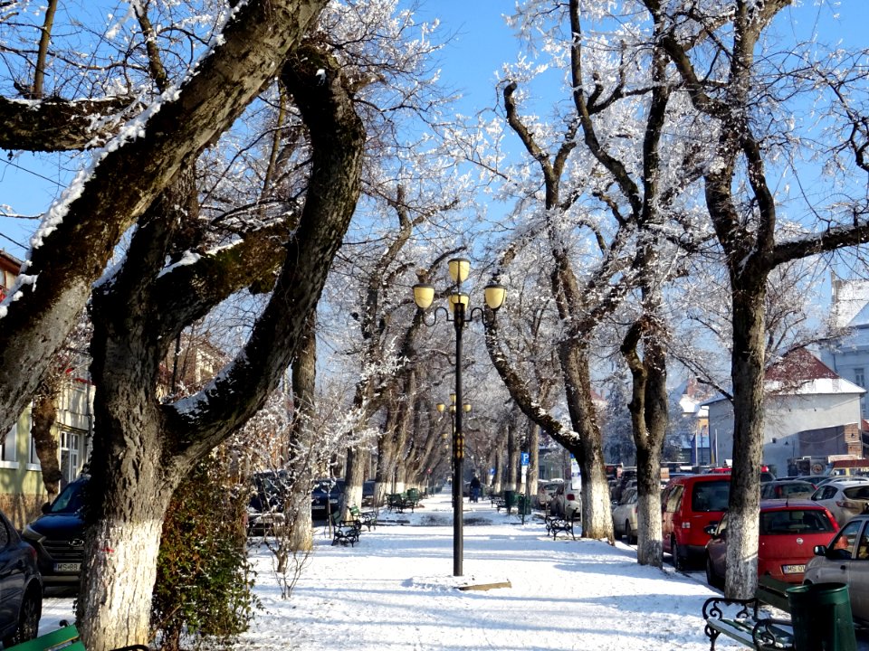 RO MS Bd Cetatii winter