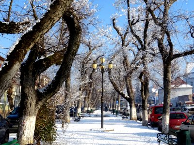 RO MS Bd Cetatii winter