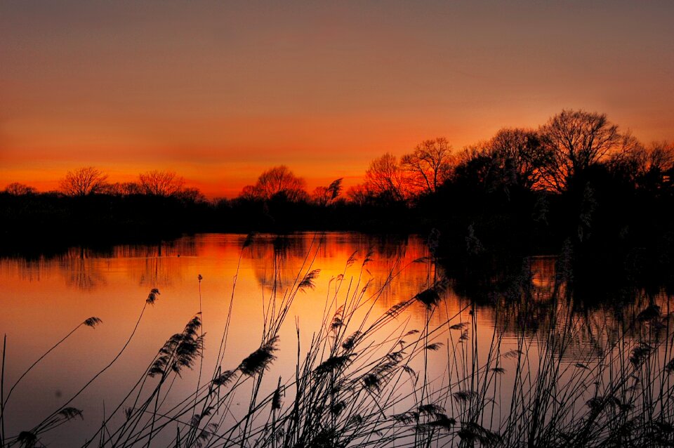 Nature landscape lake