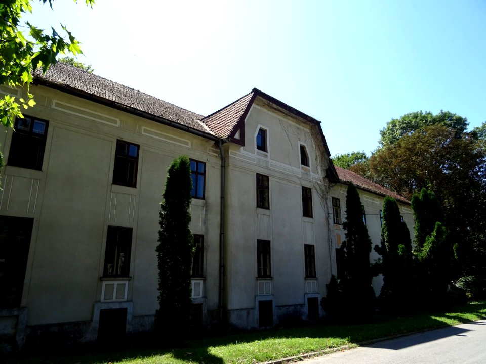 RO TM Buzias villa Phoenix (2)