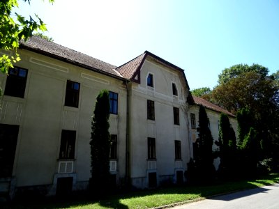 RO TM Buzias villa Phoenix (2)
